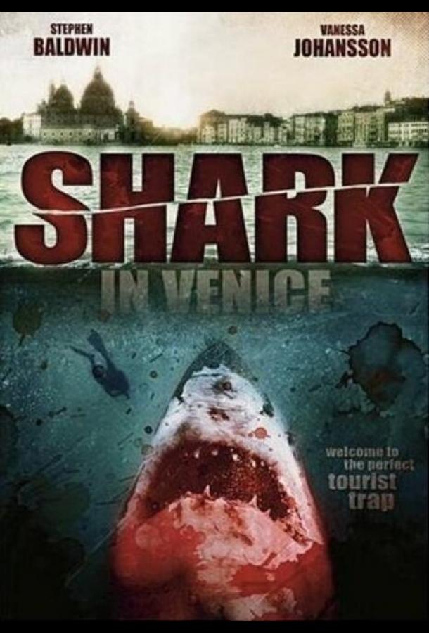 Смотреть Акула в Венеции